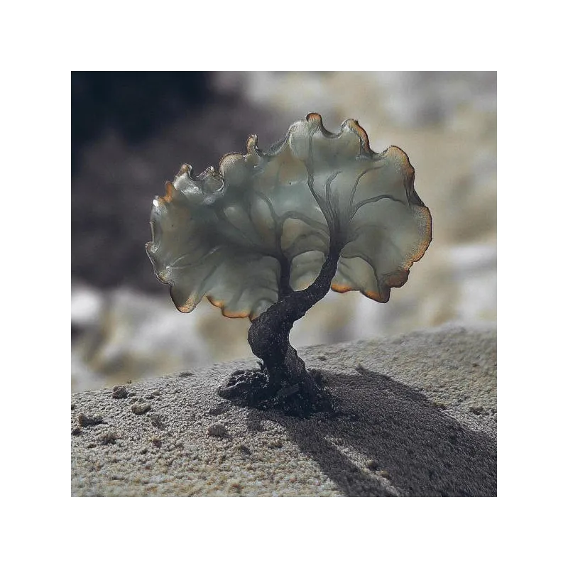 Justin Berkovi - SMV013 [printed sleeve]