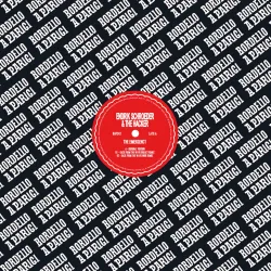 Endrik Schroeder & The Hacker - THE EMERGENCY