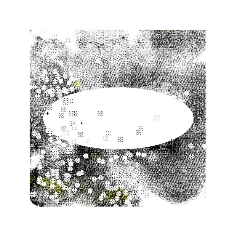 Lewis Fautzi - Gravity Won't Hold Me