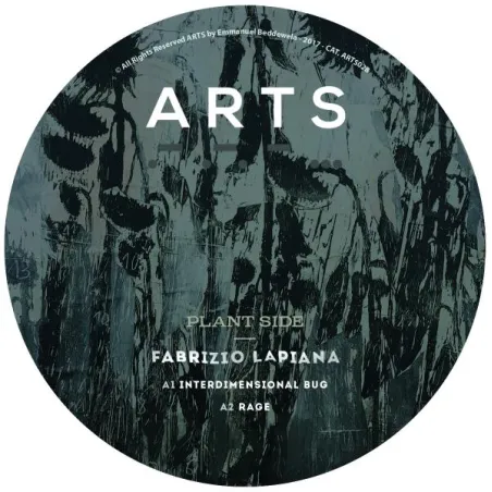 Fabrizio Lapiana - Interdimensional Bug
