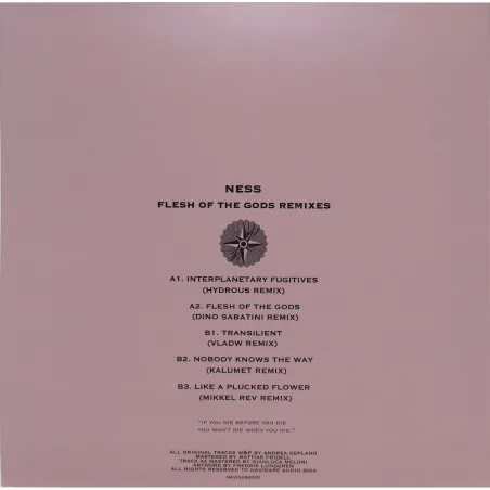 Ness - FLESH OF THE GODS REMIXES(GOLD 180G VINYL)
