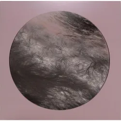 Ness - FLESH OF THE GODS REMIXES(GOLD 180G VINYL)