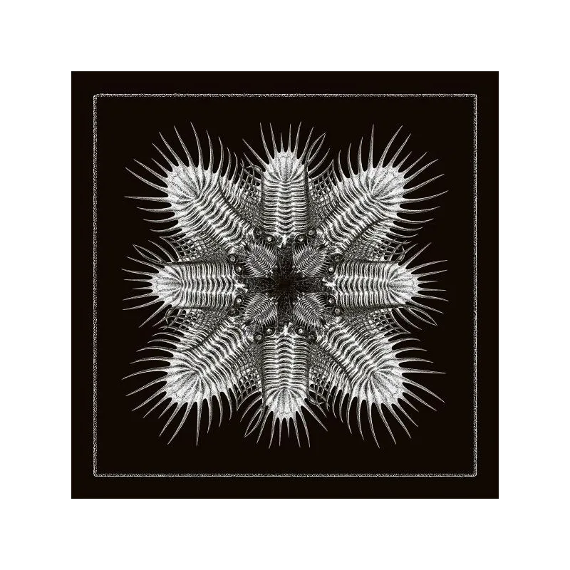 Troma - 10 [printed sleeve]