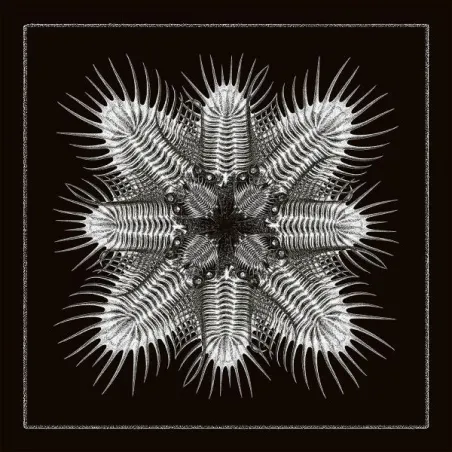 Troma - 10 [printed sleeve]