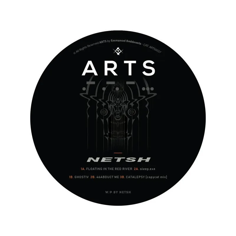 Netsh - Artificial Sin [label sleeve / discount record]