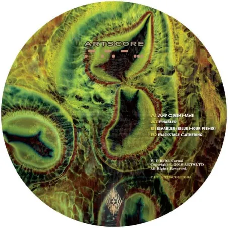 Keith Carnal - Enabler [stickered sleeve / discount record]