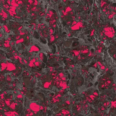 INFX - Fences Of Metal [full colour sleeve / discount record]