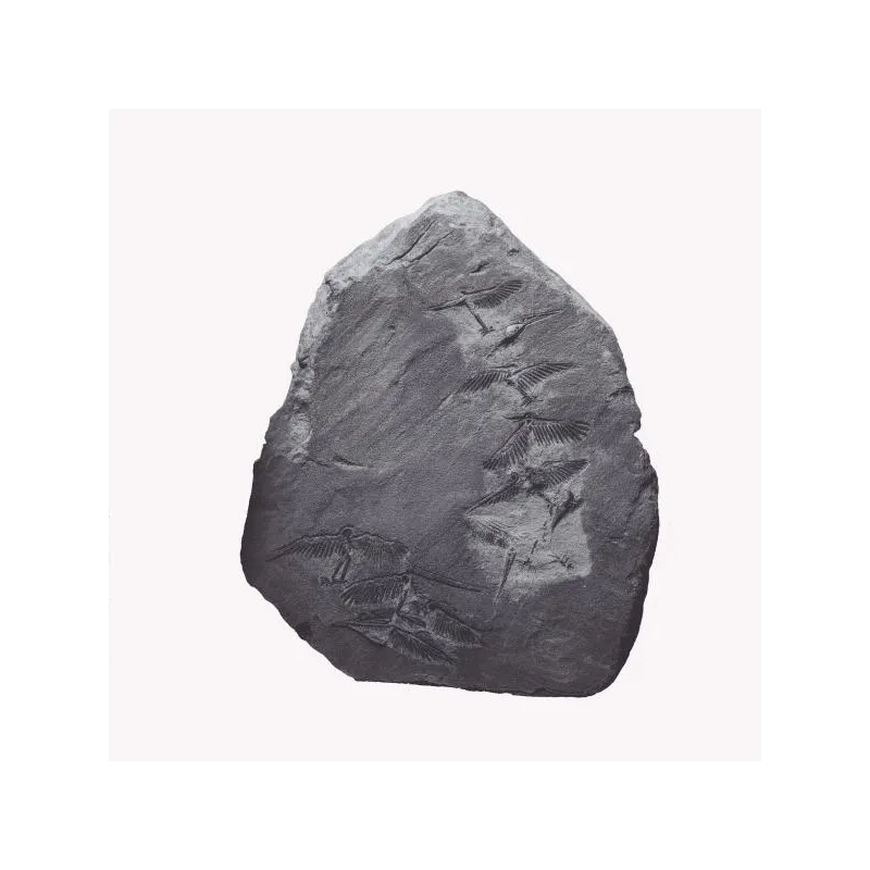 Ignez - Remixes [printed sleeve / red vinyl]