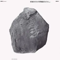 Ignez - Remixes [printed sleeve / red vinyl]