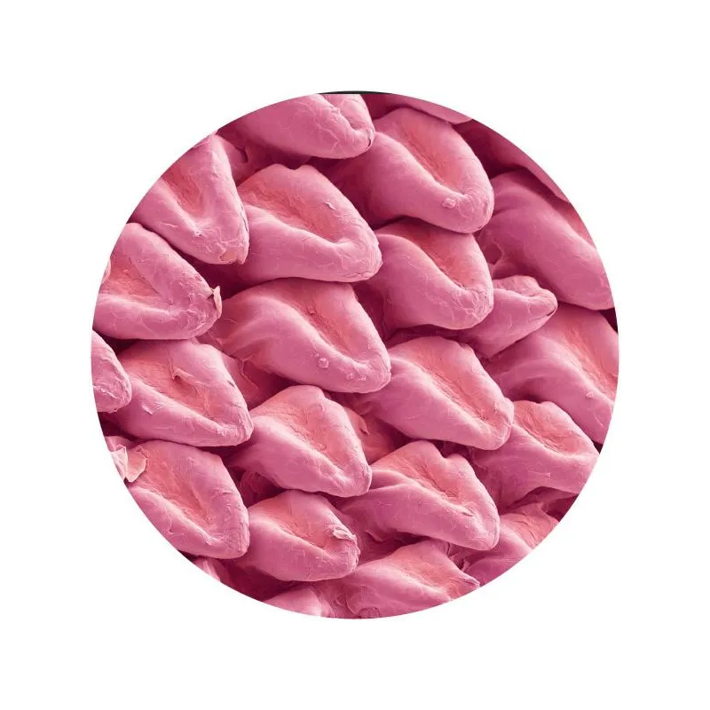 inconnu - Expansions VA [stickered sleeve]