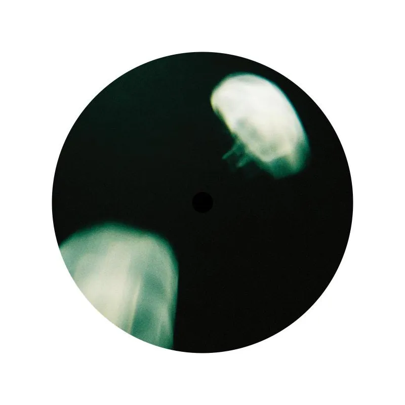 Cirkle - Sonic Surge