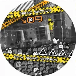 Nkod Oqp Crew,La Freepouille Sagouo,S Crew,Back2Kick Tikal Sound Records,Total Rekurt Reve Party - Tekno Section 09