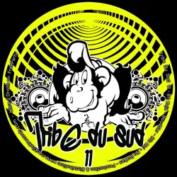 MackiTek Records -_-  Various Artists - Tribe Du Sud 11