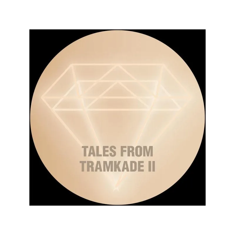 Remco Beekwilder - Tales From Tramkade II [discounted record]