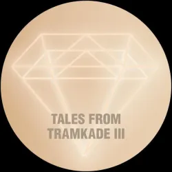 Remco Beekwilder - Tales From Tramkade III [discounted record]