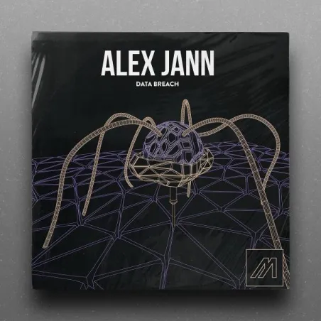 Alex Jann - Data Breach EP [discounted record / printed sleeve]