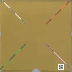 MAKAM - TARP LP 2x12"