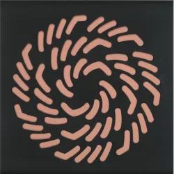 SERA J&ANNĒ - Symbiosis III