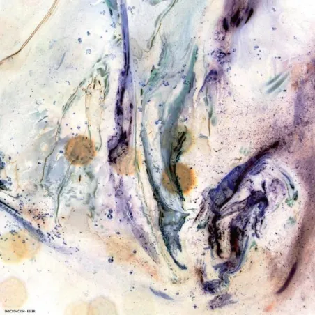 SHXCXCHCXSH - EEEER [printed sleeve]