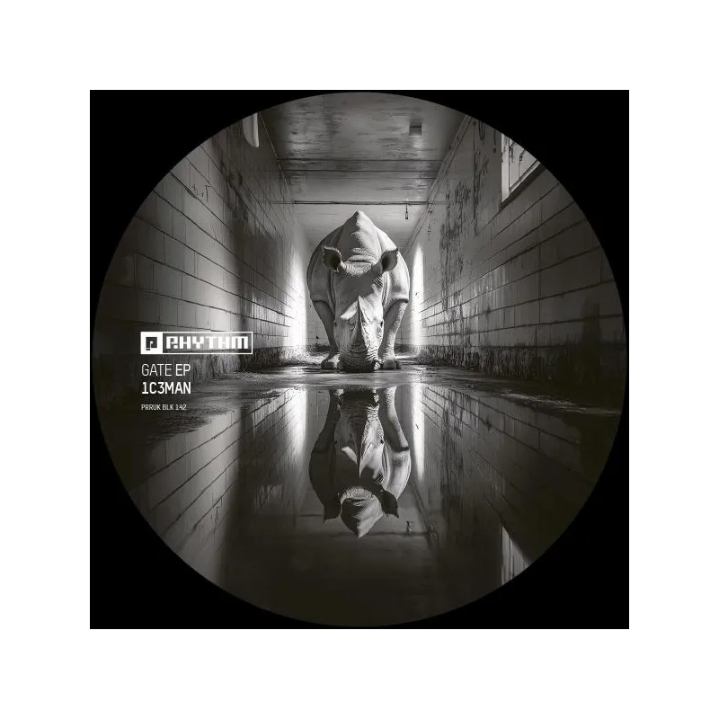 1C3Man - Gate EP