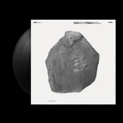 Ignez - Remixes [printed sleeve]