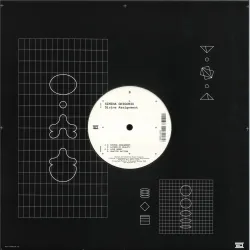 Simina Grigoriu - Divine Assignment