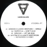 Arodes
&
Alessio Cristiano
/
Super Flu
/
Moeaike
/
Martim Rola
&
Mats Westbroek - Unreleased Records Vinyl Sampler