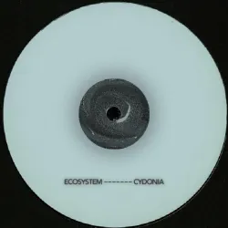 Chaotic Discord - Hidden Movement