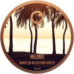 Melinki - Where Do We Go From Here EP [label sleeve / DISCOUNT]
