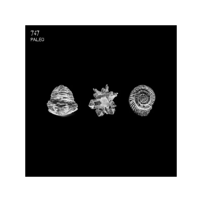 747 - Paleo [Printed Sleeve]