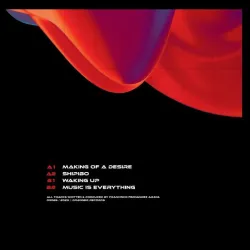 Zisko - Making Of A Desire [printed sleeve / 180 grams]