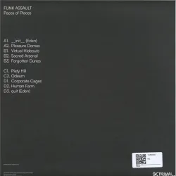 Funk Assault - Paces Of Places LP 2x12"
