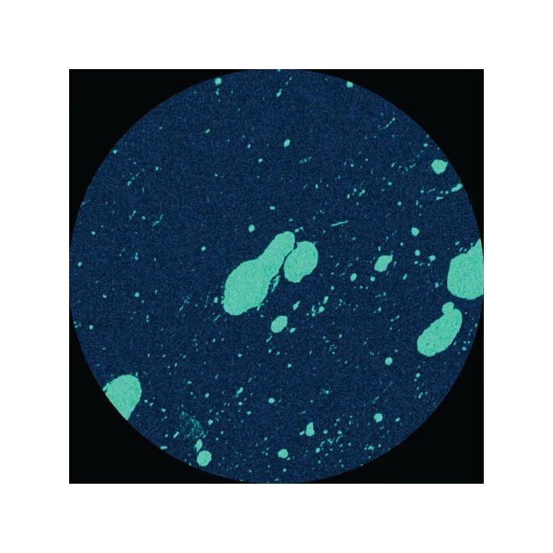 Connor Wall - Equals