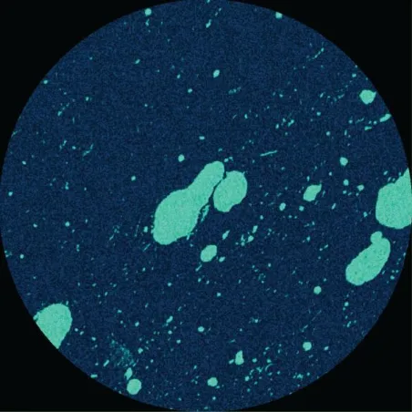 Connor Wall - Equals