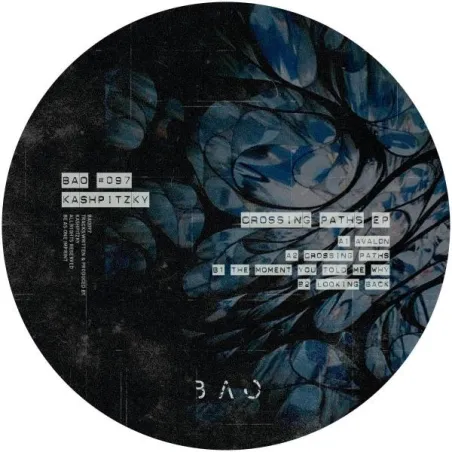 Kashpitzky - Crossing Path