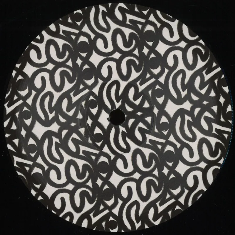 The Shapeshifters
/
Friendly Ghosts
/
Shaka Loves You - PAP Wax 02