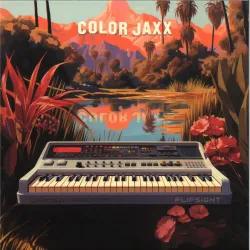 ColorJaxx - In Between LP