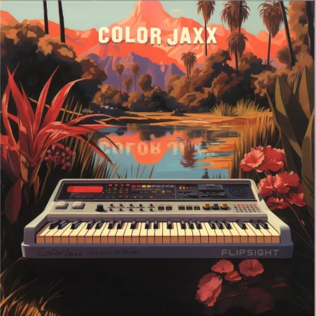 ColorJaxx - In Between LP