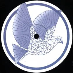 Jai Dee - TIMELESS FANTASIES OF AN ALTERED STATE