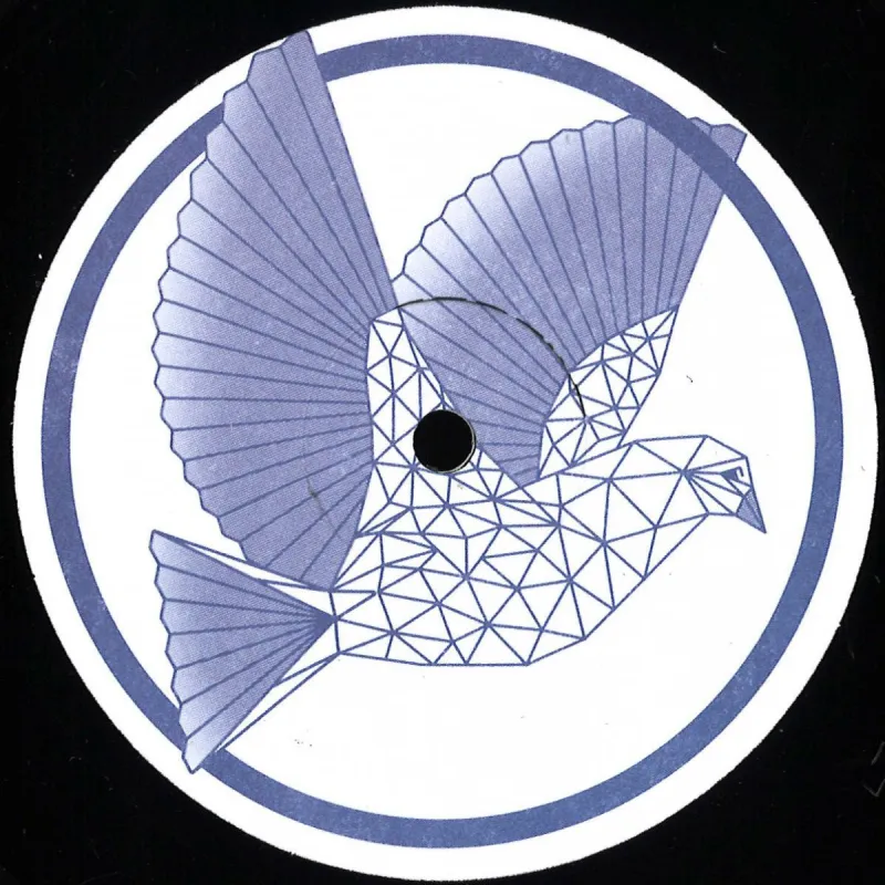 Jai Dee - TIMELESS FANTASIES OF AN ALTERED STATE