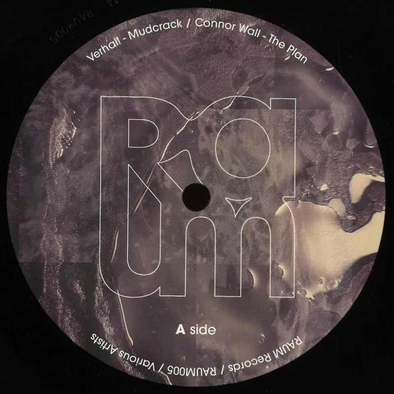 Various Artists - RAUM VA 002 LP