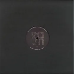 Various Artists - RAUM VA 002 LP