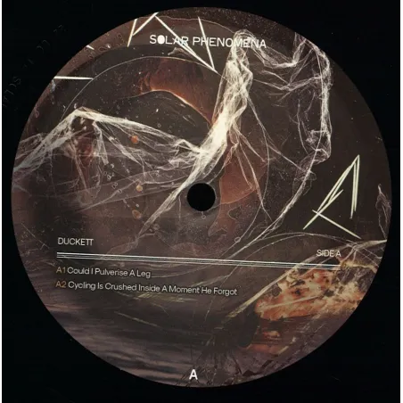 Duckett - Risks