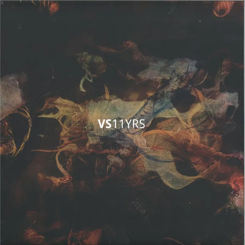 Various - Vault Sessions 11 Years 5x12"