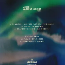 Various - Moods Vol. 5