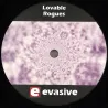 Lovable Rogues - Interger