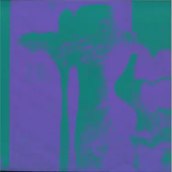 oma totem - exercicis ritmics volum 2
