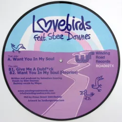 Lovebirds Feat. [artist]Stee Downes - Want You In My Soul