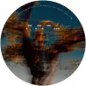 Tensal - Renovatio EP [stickered sleeve]