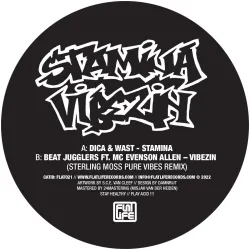 Dica
&
Wast
/
Beat Jugglers - Stamina / Vibezin